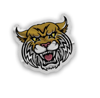A collection of stickers and magnets featuring a tiger mascot, a map of the United States, and a hand with a thumbs up. AI generated content