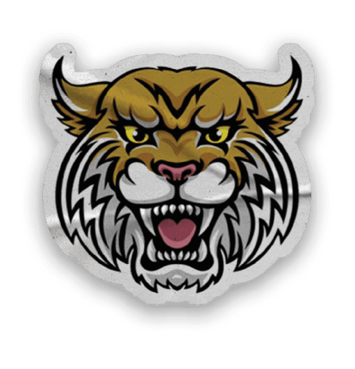 A collection of stickers and magnets featuring a tiger mascot and the words “Go Wildcats" on them. AI generated content