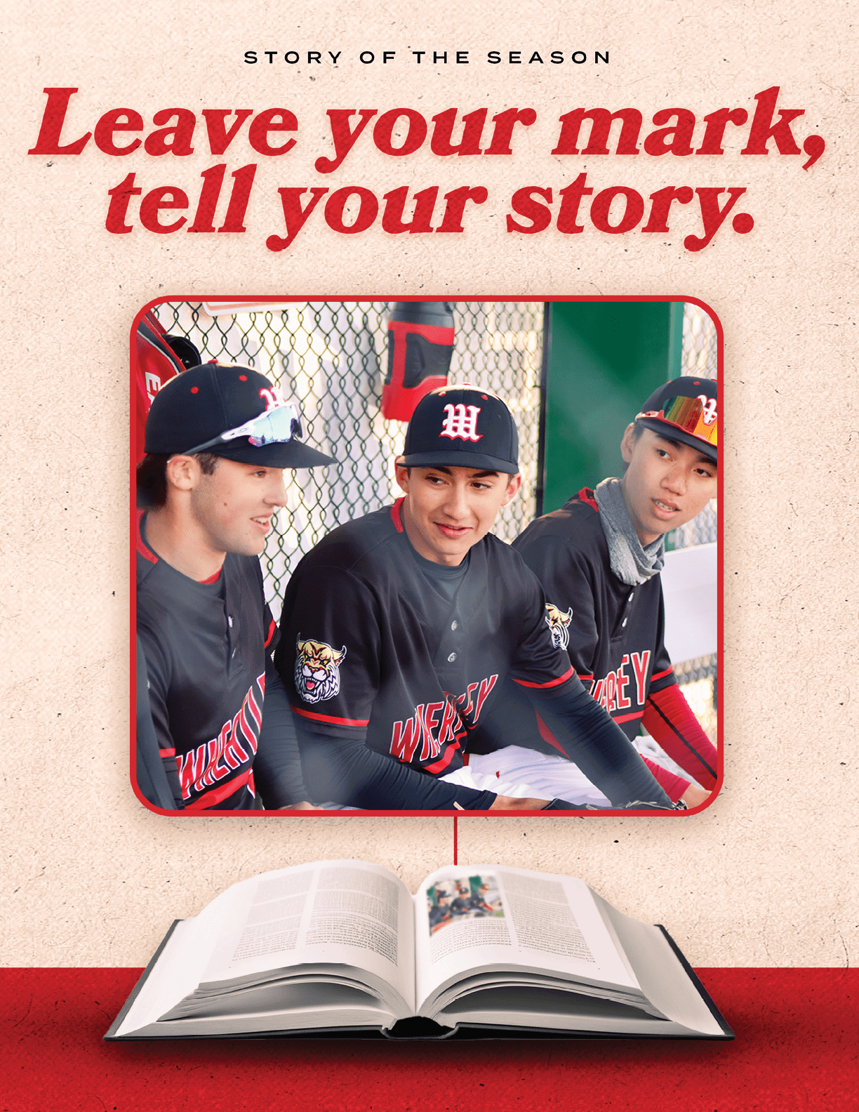 A book with a baseball player on the cover. Description generated by AI
