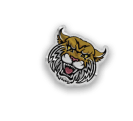 A collection of stickers and magnets featuring a tiger mascot. AI generated content