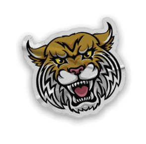A collection of stickers and magnets featuring a tiger mascot. AI generated content