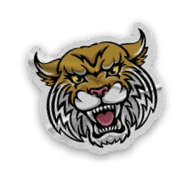 A collection of stickers and magnets featuring a tiger mascot. AI generated content