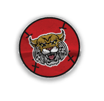 A collection of stickers and magnets featuring a tiger mascot. AI generated content