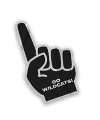 A collection of stickers and magnets featuring a tiger mascot. AI generated content