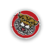 A collection of stickers and magnets featuring a tiger mascot. AI generated content