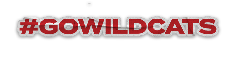 A collection of stickers and magnets featuring a tiger mascot. AI generated content