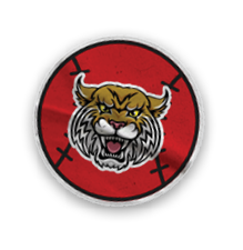 A collection of stickers and magnets featuring a tiger mascot. AI generated content