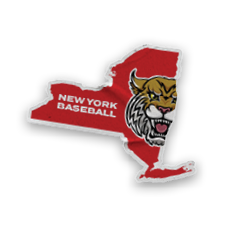 A collection of stickers and magnets featuring a tiger mascot. AI generated content