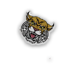 A collection of stickers and magnets featuring a tiger mascot. AI generated content