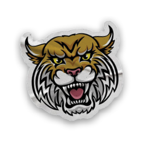 A collection of stickers and magnets featuring a tiger mascot, a map of the United States, and a hand with a thumbs up. AI generated content