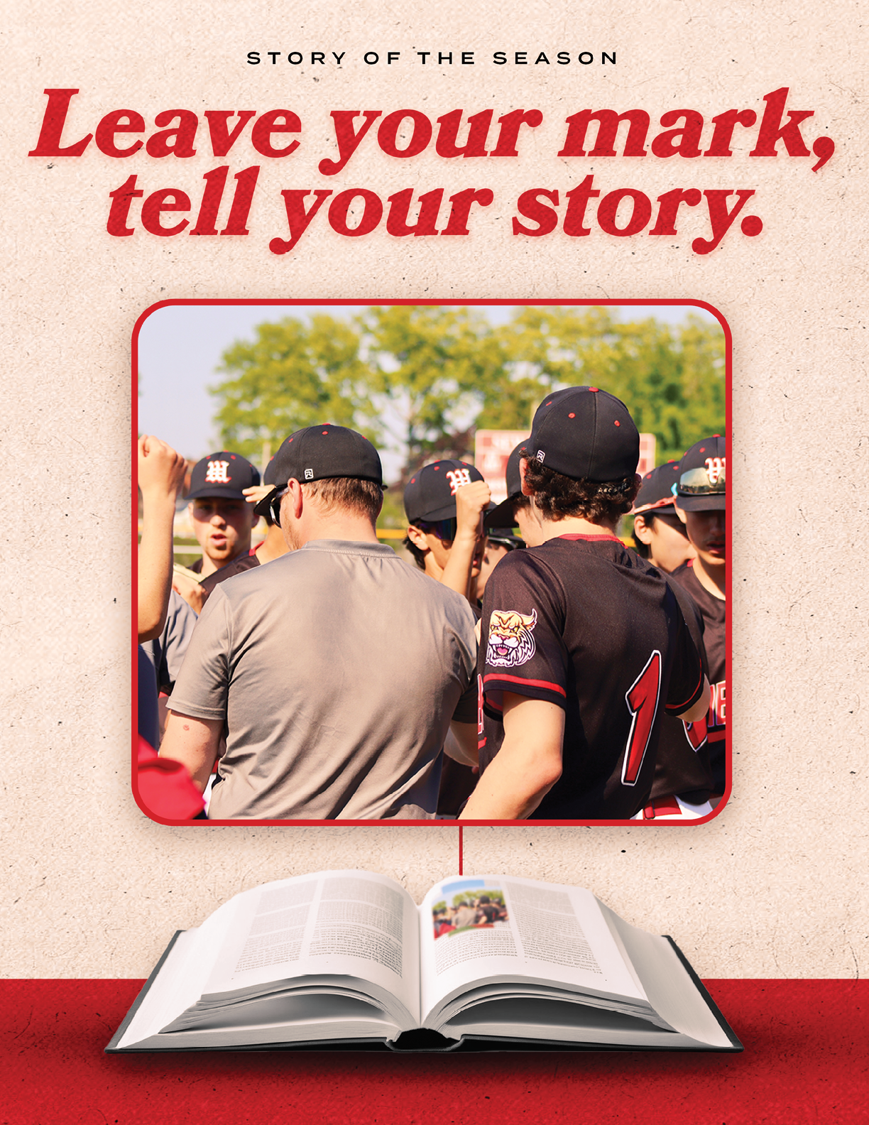 A book with a baseball player on the cover. Description generated by AI