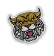 A collection of stickers and magnets featuring a tiger mascot. AI generated content