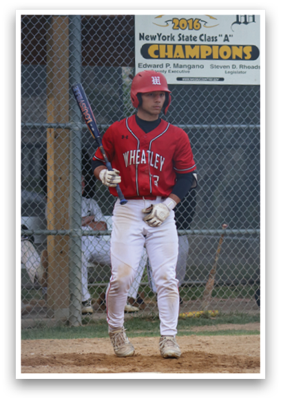 A baseball player in a red shirt and white pants holding a bat. Description generated by AI