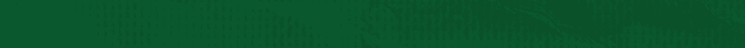 Green paper with wrinkles. Description generated by AI
