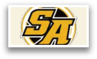 A yellow and black logo for SAA. Description generated by AI
