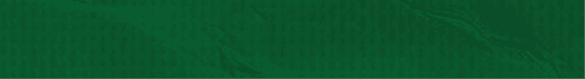 A green cloth with wrinkles and folds. AI generated content