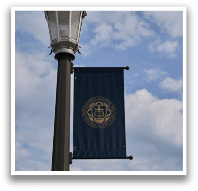 A blue and gold banner hangs from a light pole. Description generated by AI