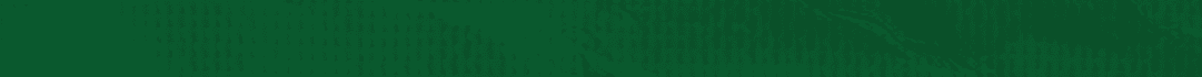 Green paper with wrinkles. Description generated by AI