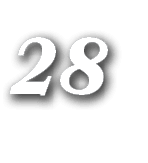 28