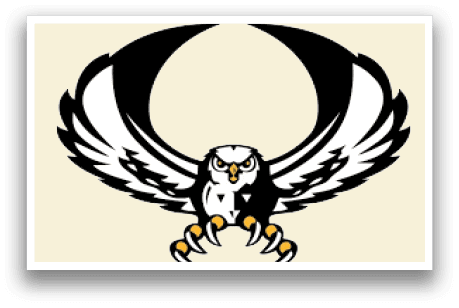 A bird with yellow claws. Description generated by AI