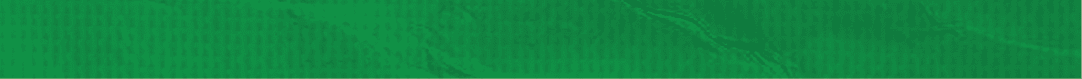 [Alt text was not generated.]