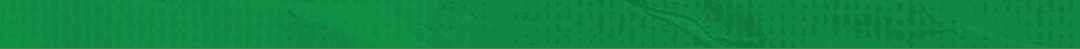 Green paper with wrinkles. Description generated by AI