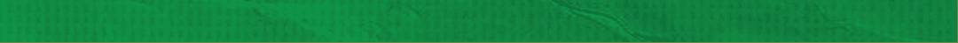 Green paper with wrinkles. Description generated by AI