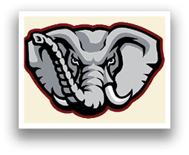 A gray and red elephant with a black eye. Description generated by AI