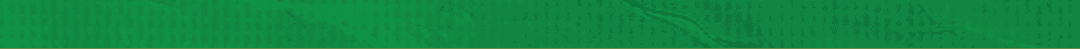 Green paper with wrinkles. Description generated by AI