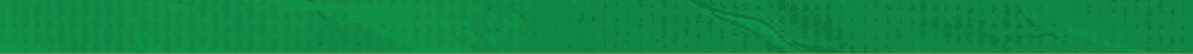 Green paper with wrinkles. Description generated by AI
