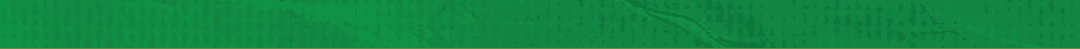 Green paper with wrinkles. Description generated by AI