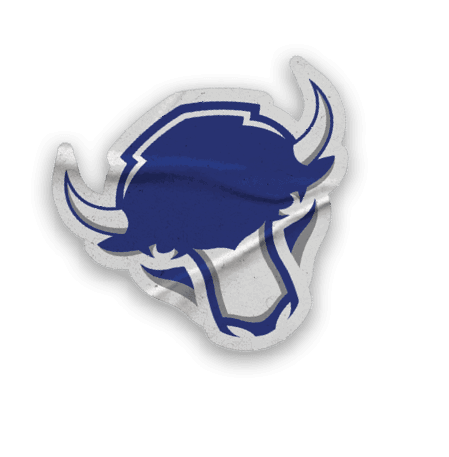 A collection of stickers featuring a bison, a football, a hockey stick, a baseball glove, a basketball, and a soccer ball. AI generated content