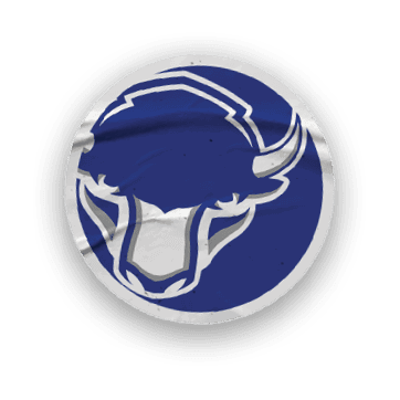 A collection of stickers featuring a bison, a hockey stick, a football, a basketball, a baseball glove, and a map of the United States. AI generated content