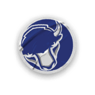 A collection of stickers featuring a bison, a football, a hockey stick, a basketball, a baseball, and a soccer ball. AI generated content