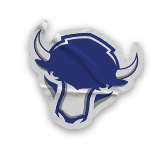 A collection of stickers, including a bison, a hockey stick, and a map of the United States. AI generated content