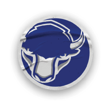 A collection of stickers featuring a bison, a hockey stick, a football, a basketball, a baseball glove, and a map of the United States. AI generated content