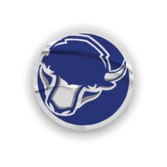 A collection of stickers featuring various sports teams, including the Buffalo Bisons. AI generated content