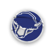 A collection of stickers featuring a bison, a football, a hockey stick, a basketball, a baseball, and a soccer ball. AI generated content