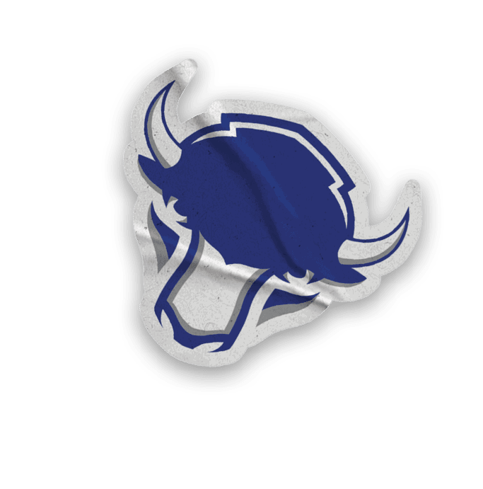 A collection of stickers featuring a bison, a football, a hockey stick, a baseball glove, a basketball, and a soccer ball. AI generated content