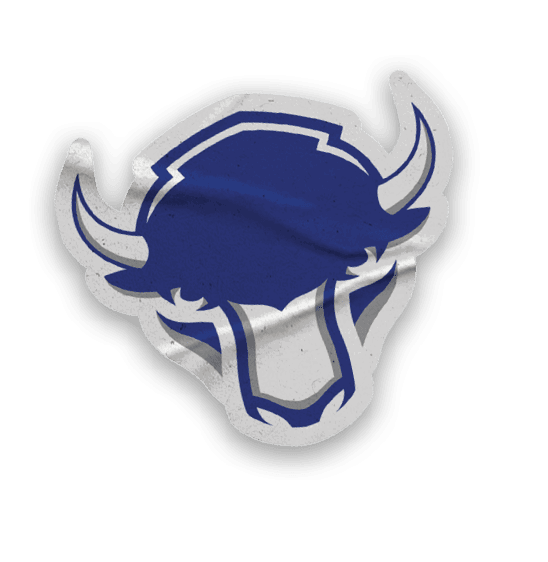 A collection of stickers featuring various sports teams, including the Buffalo Bisons. AI generated content