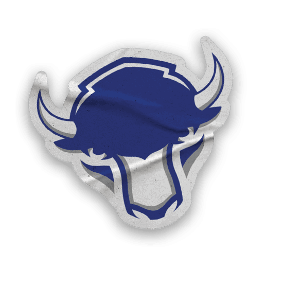 A collection of stickers featuring various sports teams, including the Buffalo Bisons. AI generated content