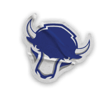 A collection of stickers featuring various sports teams, including the Buffalo Bisons. AI generated content