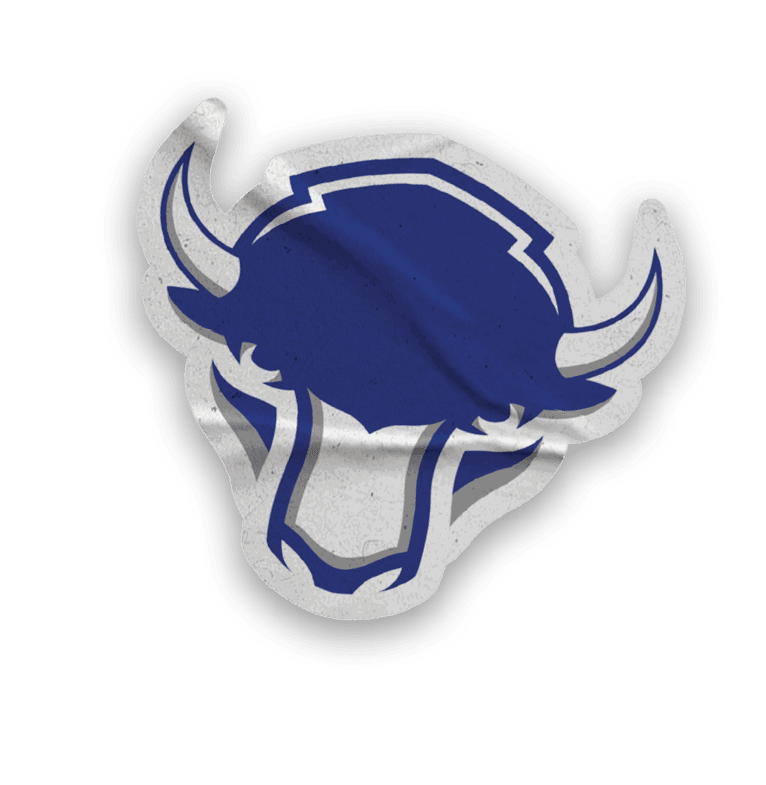 A collection of stickers, including a bison, a hockey stick, and a map of the United States. AI generated content