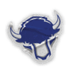 A collection of stickers featuring a bison, a football, a hockey stick, a baseball glove, a basketball, and a soccer ball. AI generated content