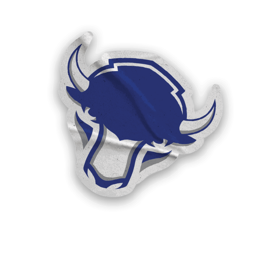 A collection of stickers with various designs, including a bison, a hockey stick, a football, and a hand. AI generated content