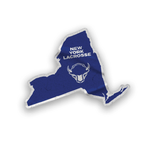 A collection of stickers with various designs, including a bison, a football, and a hockey stick. AI generated content