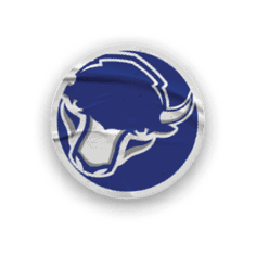 A collection of stickers featuring various sports teams, including the Buffalo Bisons. AI generated content