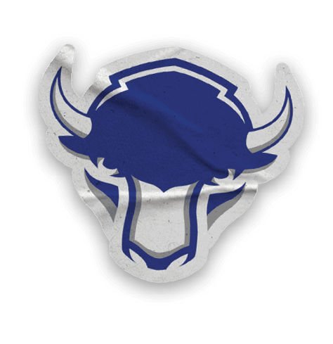 A collection of stickers with various logos and images, including a bison, a hockey stick, and a hand. AI generated content