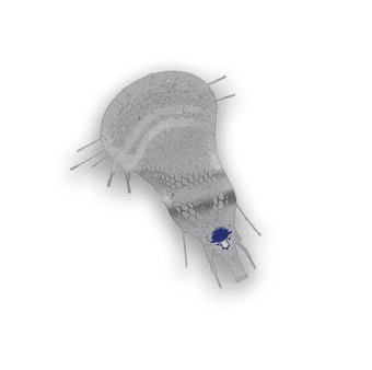 A collection of stickers, including a bison, a hockey stick, and a hand, are displayed. AI generated content