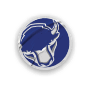 A collection of stickers featuring a bison, a football, a hockey stick, a basketball, a baseball, and a soccer ball. AI generated content